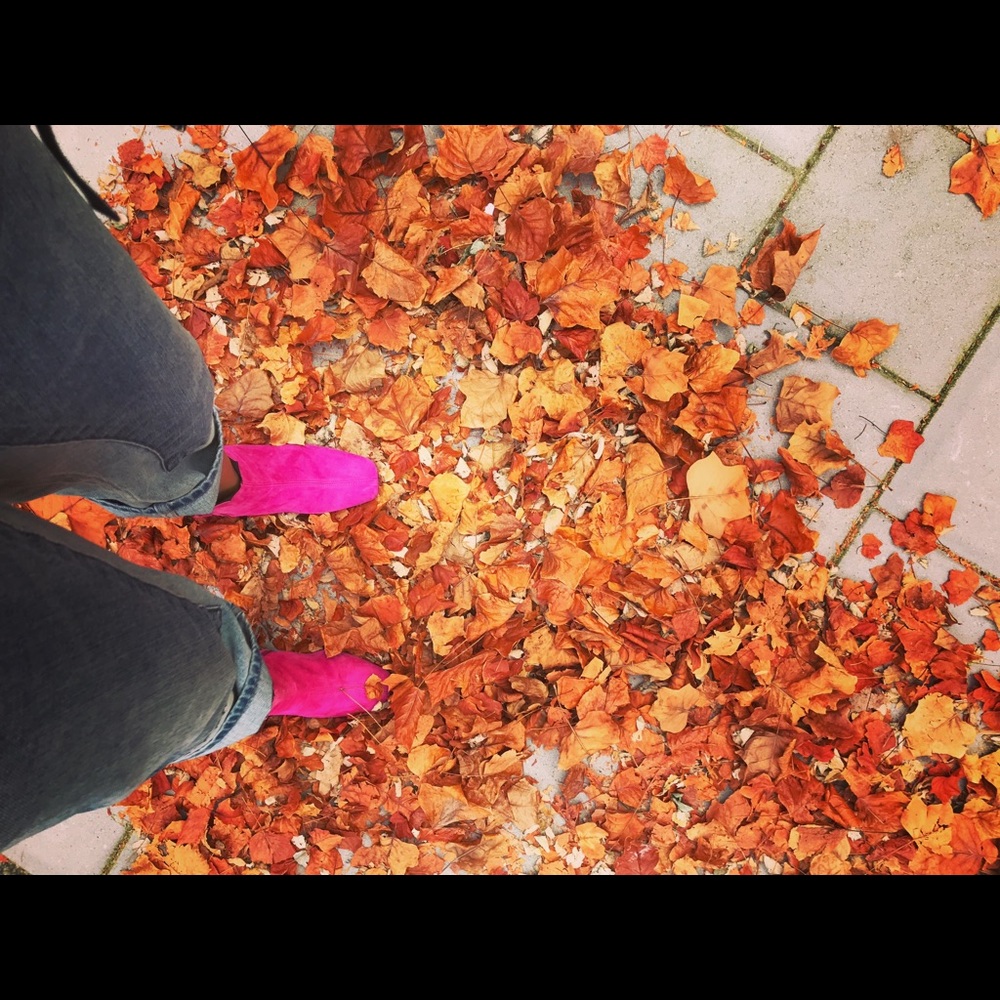 Top shop Pink Suede Booties
